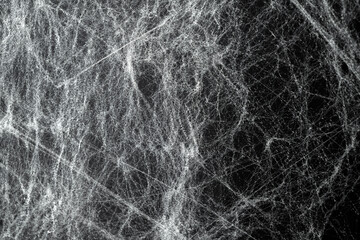 Spooky creepy cobweb spiders web covered a black background