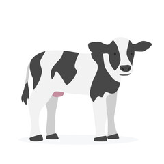 Baby cow calf simple vector illustration. Holstein calf cartoon clipart, animal in flat style. Farm animals concept, rural farming. Livestock animal baby cow vector design isolated on white background