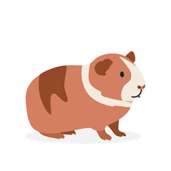 Guinea pig simple vector illustration. Dutch guinea pig cartoon clipart, animal in flat style. Farm animals concept, rural farming. Livestock animal guinea pig vector design isolated on white