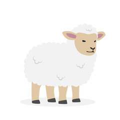 Baby sheep lamb simple vector illustration. Cute lamb cartoon clipart, animal in flat style. Farm animals concept, rural farming. Livestock animal baby sheep vector design isolated on white background