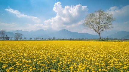 Obraz premium Golden Field with Lone Tree and Mountain Range