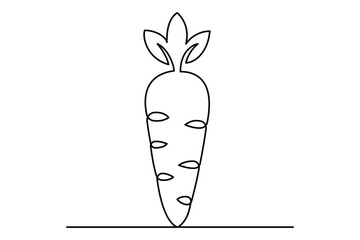 Continuous one line drawing of isolated carrot outline vector art illustration 
