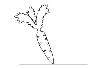 Continuous one line drawing of isolated carrot outline vector art illustration 
