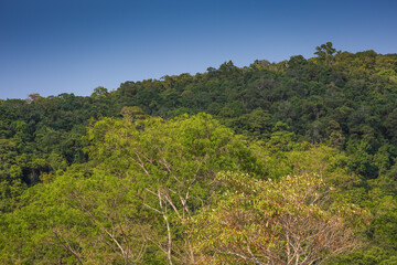Obraz premium Nature reserve with its rocky walks and native trees and animals with small water deposits creating havens for wildlife