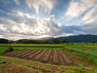明日香村に広がる畑と田んぼの風景
