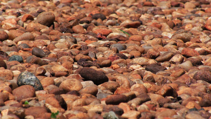 Open space paved with cobblestones