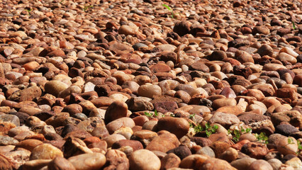 Open space paved with cobblestones