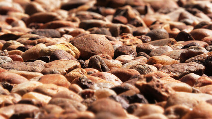 Open space paved with cobblestones