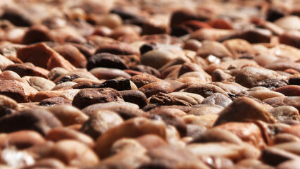 Open space paved with cobblestones