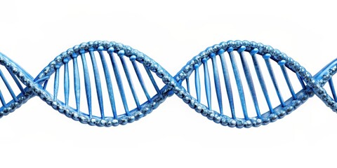 DNA strand with double helix structure isolated on white background, genetics, science, biology, genetic code