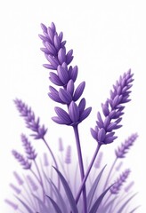 Naklejka premium Vector Lavender Flower Graphic: Isolated Purple Floral Illustration for Design