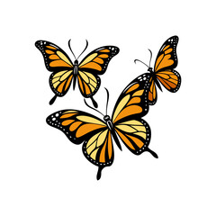Butterfly silhouette vector