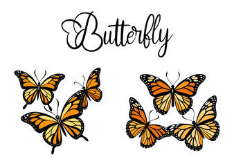 Butterfly silhouette vector