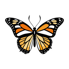 Butterfly silhouette vector