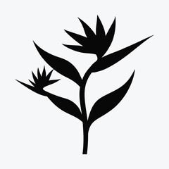 Bird of Paradise Flower Vector Illustration - Exotic Floral Graphic Design