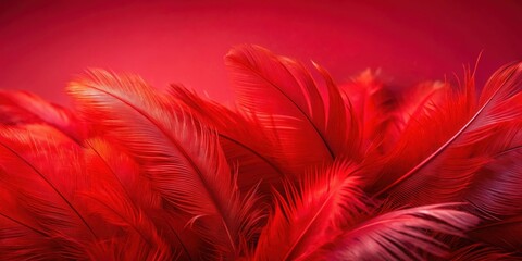 Obraz premium Close up of vibrant red feathers against a red background, red, feathers, close up, vibrant, red background, soft, elegant