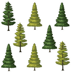 Seamless Evergreen Tree Pattern