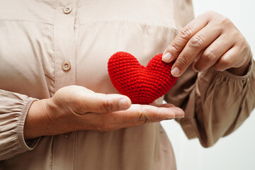 Asian woman holding human internal organ model, donation charity volunteer concept.