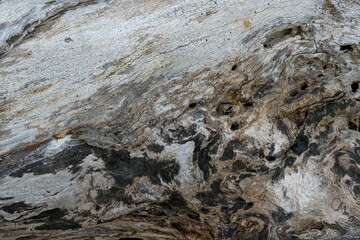Patterns in old wood