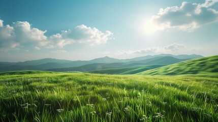 Fototapeta premium Serene Green Meadow with Rolling Hills and Bright Sunlight â€“ Peaceful Landscape Photograph for tranquil outdoor scenes and nature backgrounds.