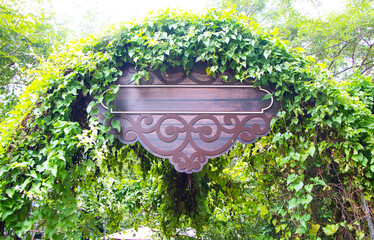 Sign empty wood brown square attached to wooden beam in front of shop Covered with natural green floral vines. logo, symbol. Typography for restaurant, bar, cafe, menu, ice cream or sweet shop.