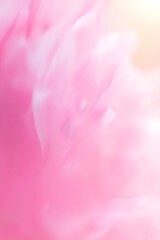 Fototapeta premium Pink background pink gradient blurred
