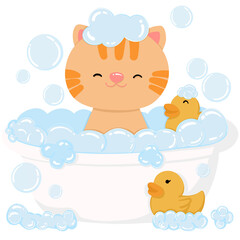 Cat in bath