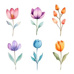 Watercolor spring flowers clipart, cute, simple, watercolors, with blue, pink, purple, orange, green, and yellow hues, isolated on a white background, 
