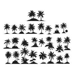 Naklejka premium Set of black silhouettes of coconut tree. Black palms tree 