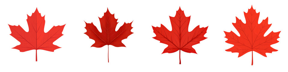 Vibrant Red Maple Leaves in Autumn Nature Scenery  Closeup of beautiful fall foliage with rich red colors and natural textures