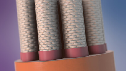 Signal carrying nerve fibers between central and peripheral systems