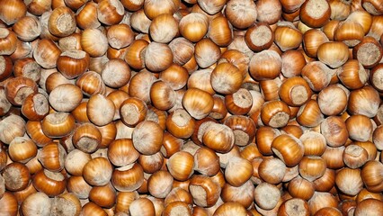 Hazelnut Pile Closeup