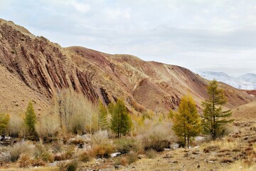 Scenic view of rugged hills and autumn foliage in a mountainous landscape.