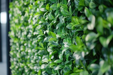 Eco-friendly green event with living wall plant display