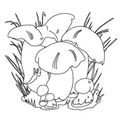 Penny Bun Mushrooms Illustration. Suitable for coloring book and other uses. Black Outline. Edible mushrooms Boletus Edulis