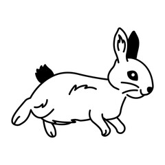 Obraz premium A doodle style icon of bunny hop 