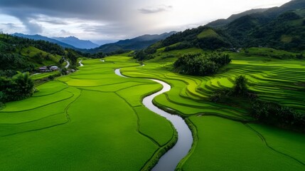 A picturesque terraced rice field with a river winding through it, surrounded by misty green mountains in Vietnam. 