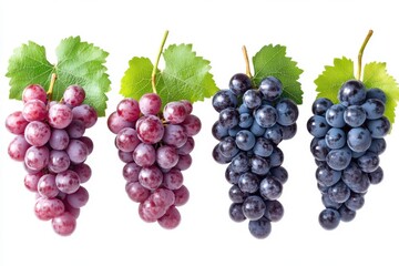 Fototapeta premium Generate a high-resolution digital image of four different bunches of ripe,