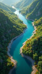 Scenic Aerial View of Serene River Flowing Through Lush Forest Phone wallpaper