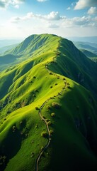 Scenic Green Mountain Landscape with Winding Pathway Phone wallpaper