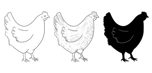 Set of sketches of a chicken. Silhouette of a chicken. Engraving. Rural natural bird farming.  
