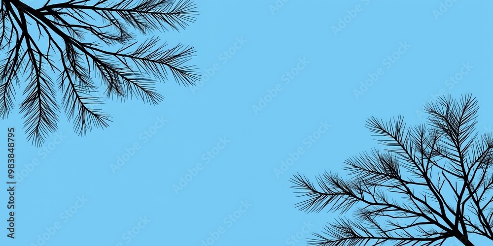 Canvas Prints Silhouettes of pine tree branches against a blue sky.