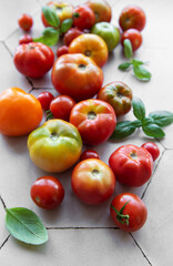 Freshly harvested heirloom tomatoes scattered on a beige hexagonal tiled surface with basil leaves