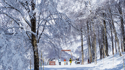 スキー場　ゲレンデ風景　長野県白馬村 © RATM