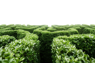 A large green hedge maze shaped like the letter H, located in a garden, showcasing intricate pathways and lush foliage during daylight hours