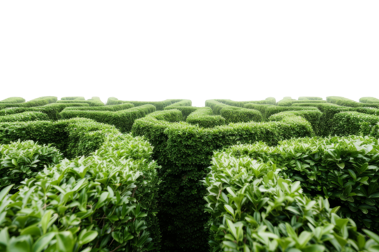 A large green hedge maze shaped like the letter H, located in a garden, showcasing intricate pathways and lush foliage during daylight hours