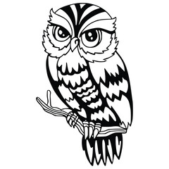 The Mountain Men's Owls