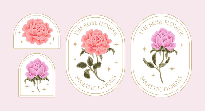 Vintage hand drawn botanical flower logo and label set with rose, daisy, gerbera, peony florals, greeneries illustration, line art frame for decoration, shop branding, beauty and feminine products