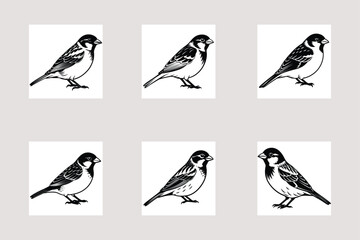 Realistic Full-Body Sparrow Illustration for Nature Enthusiasts