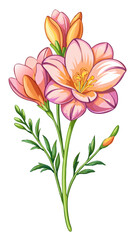 Vibrant Freesia Flower Illustration with Multicolored Petals in Pink, Yellow, and Orange - Ideal for Spring and Summer Floral Themes, Freesia Illustration, Freesia Flower vector Illustration
